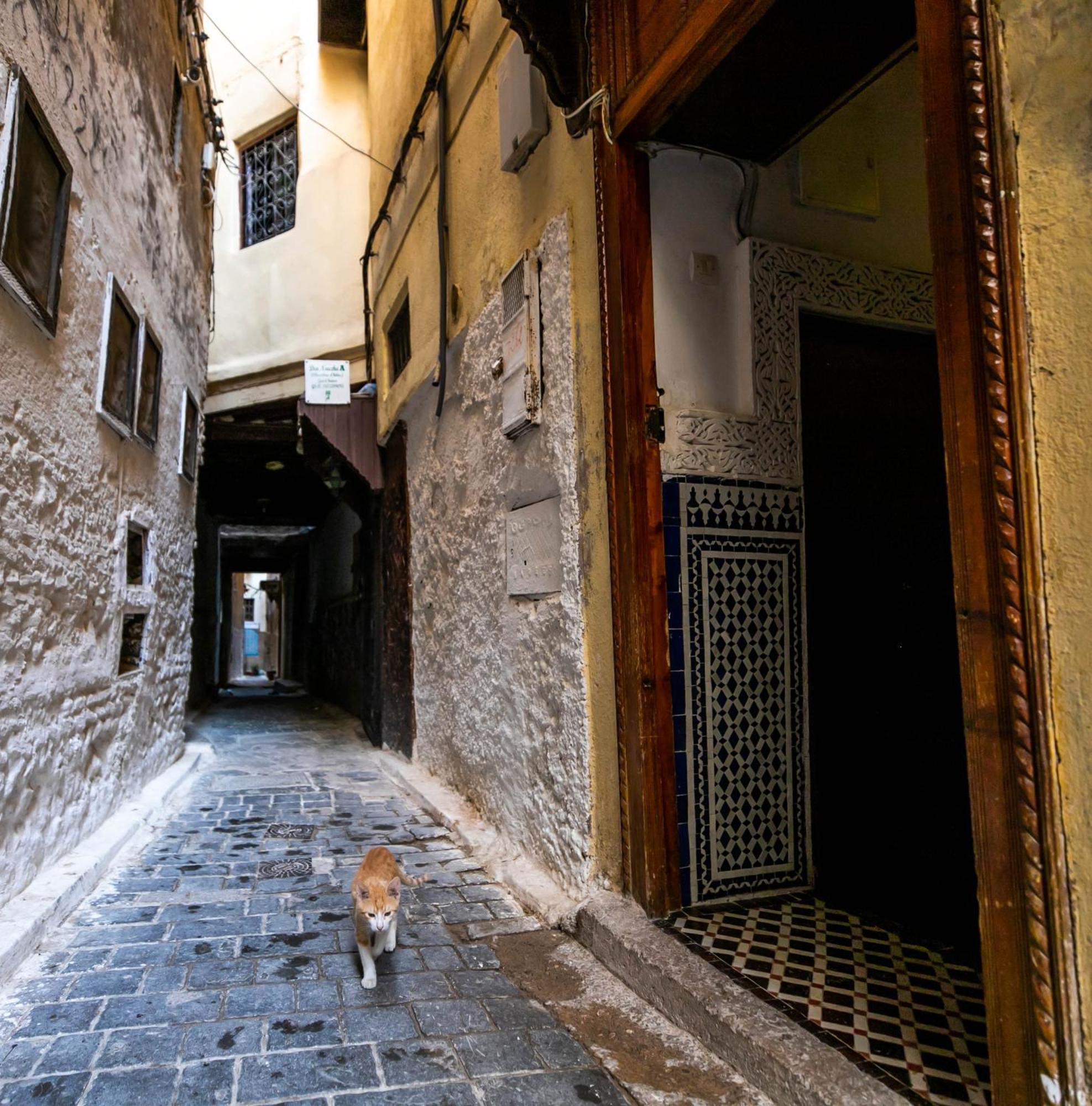 Riad Dar Omar Fes Luaran gambar
