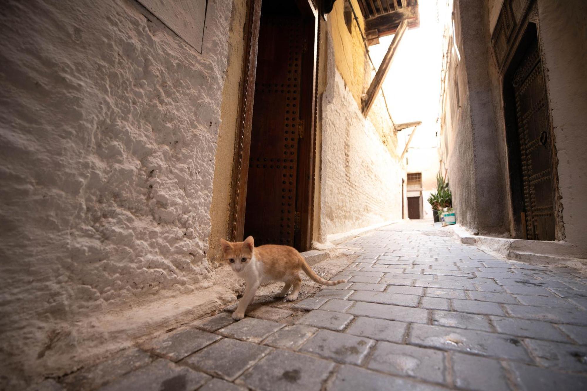 Riad Dar Omar Fes Luaran gambar
